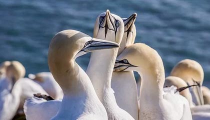 开云体育 kaiyun sports-绝地求生 选手训练强度持续加大，绝地求生训练手雷在哪里