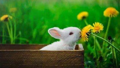 开云体育 kaiyun sports-绝地求生 选手训练强度持续加大，绝地求生训练手雷在哪里